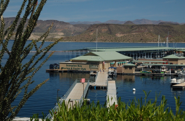 Scorpion Bay, Dillion's